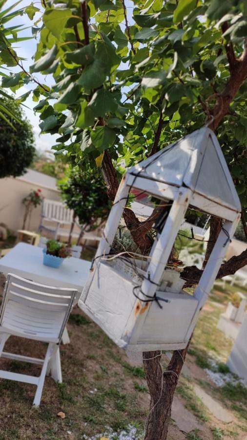 Casa Vacanze Olbia Exterior photo
